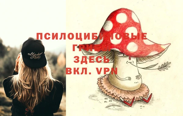 твердый Покров