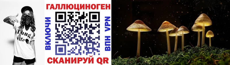 Галлюциногенные грибы мухоморы  Тбилисская 